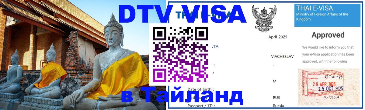 Сколько стоит DTV виза — актуальные цены, оформление даже без документов - 
